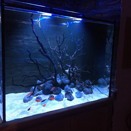 Aquarium House Apartment Sesimbra Bagian luar foto