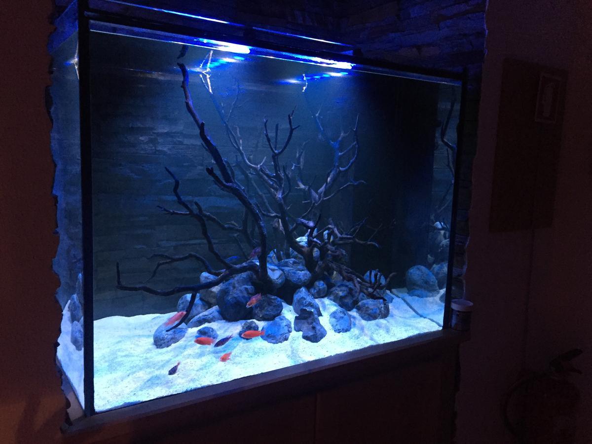 Aquarium House Apartment Sesimbra Bagian luar foto